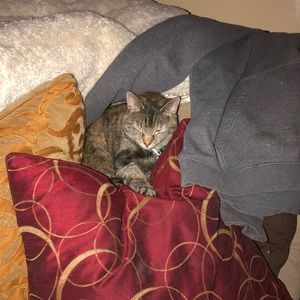 Meet your Posher, Jayleene